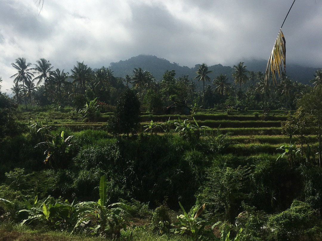 Lotus Guesthouse主图