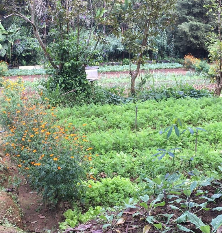 Micklefield Bungalow主图