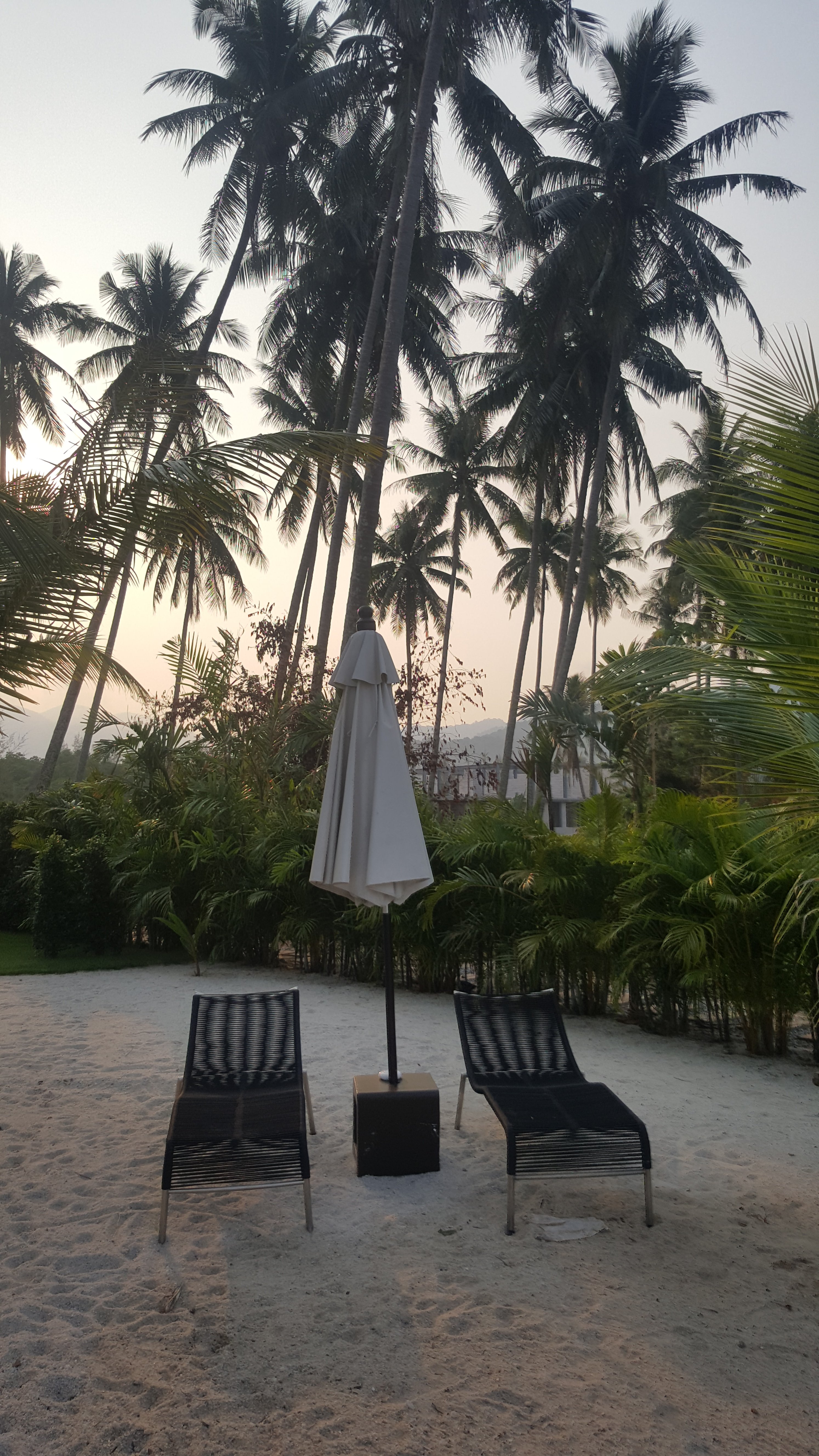 Laguna Beach House-泳池