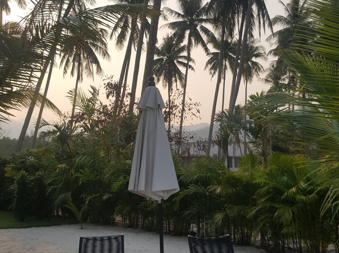 Laguna Beach House主图