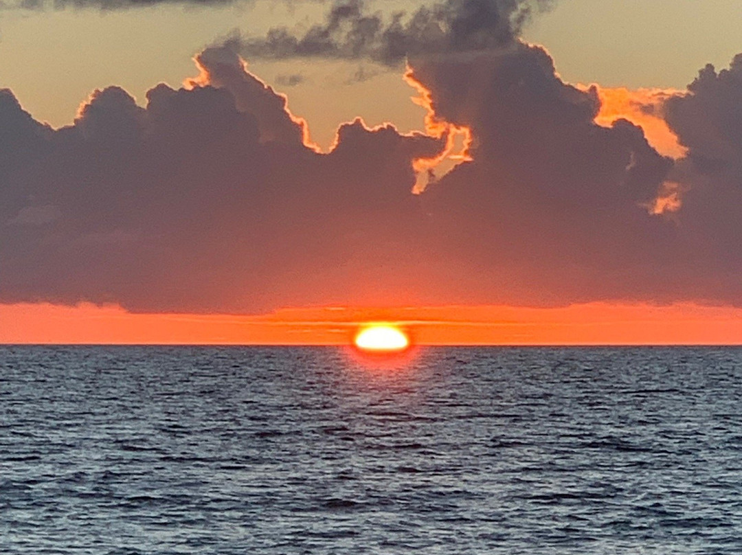 阿姆拉宫酒店主图