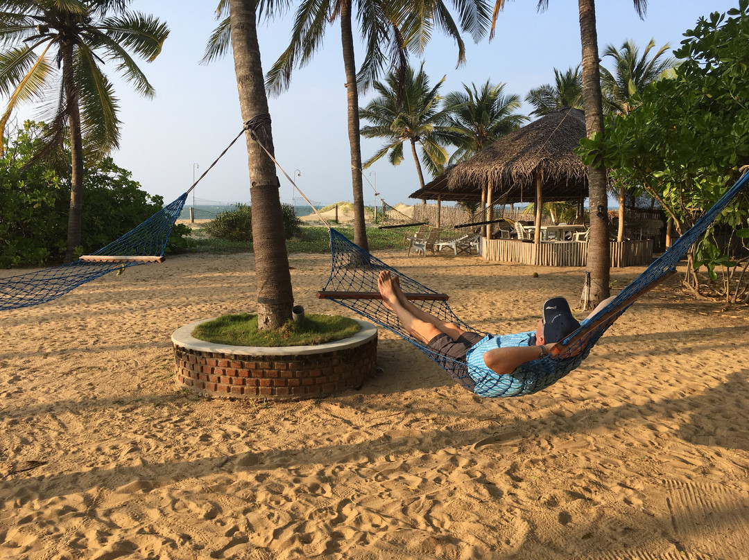 Wellé Wadiya Beach Hotel and Restaurant主图