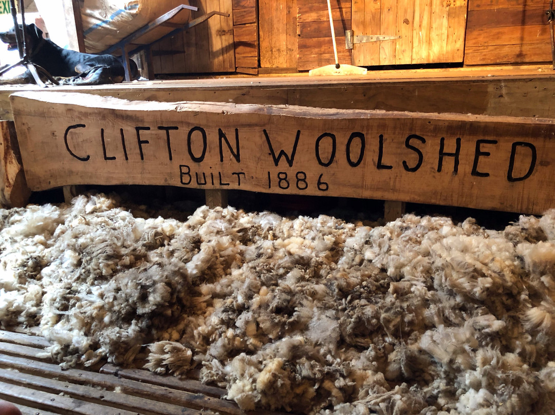 Clifton Station Wool World-Te Awanga必去景点
