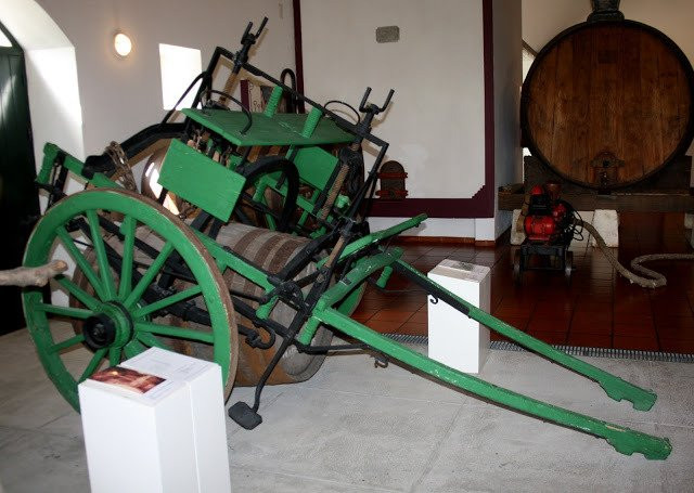 Museu Rural e do Vinho do Cartaxo景点图片