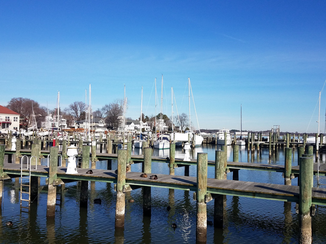 Annapolis Maritime Museum & Park景点图片