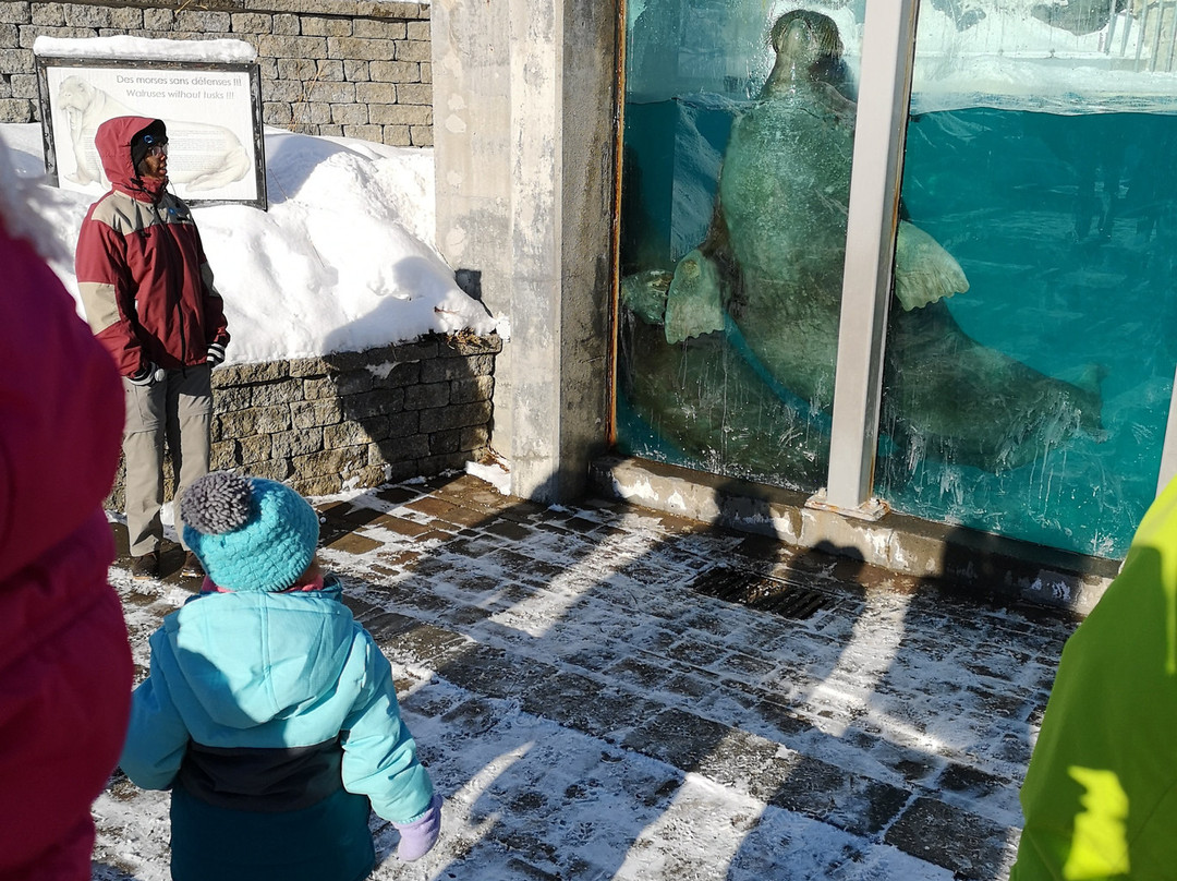 Aquarium du Québec-魁北克市必去景点