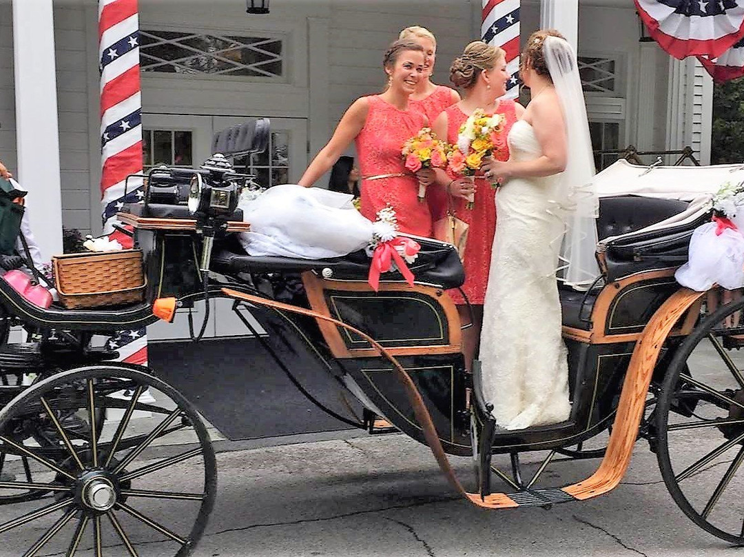 Wild Iris Farm-巴港必去景点