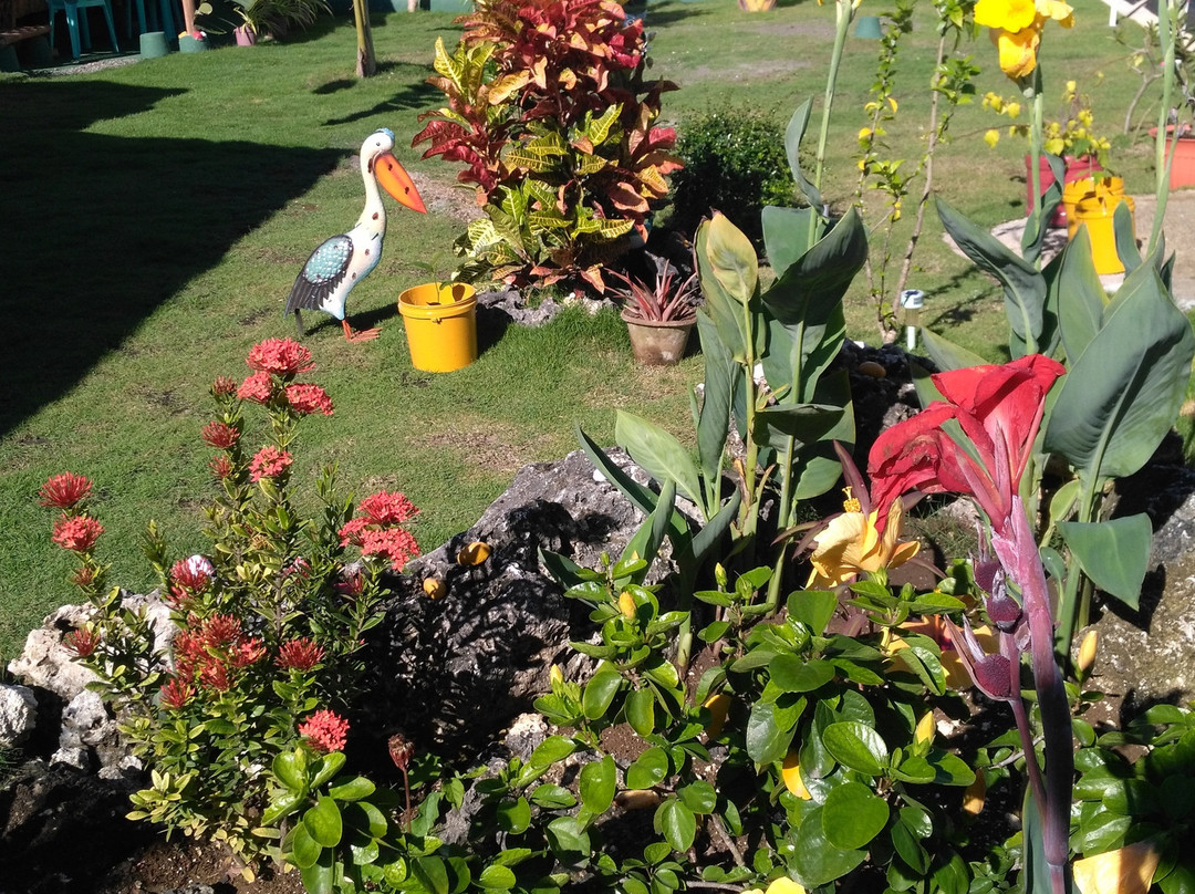 Astillo's Guest Houses主图