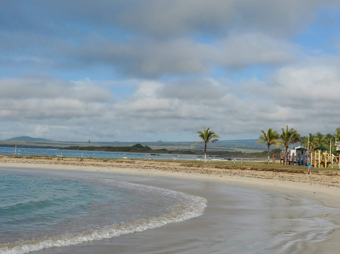 Galapagos Unbound-圣克鲁斯必去景点