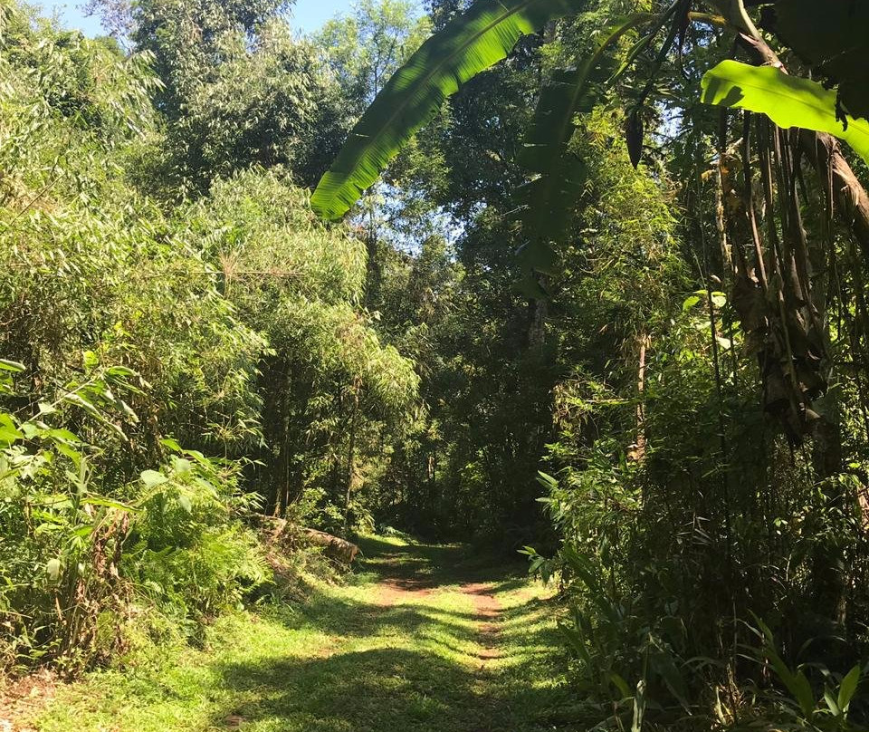 Margay - Reserva Natural & Lodge de Selva主图