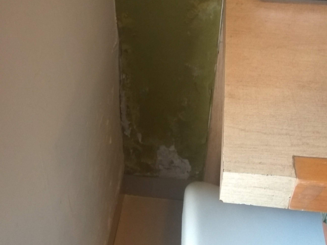 Asma Business Hotel主图