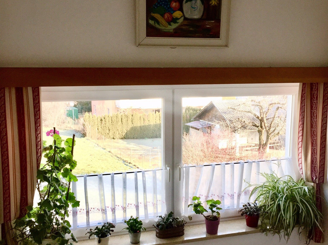 加尼索莱尔酒店主图