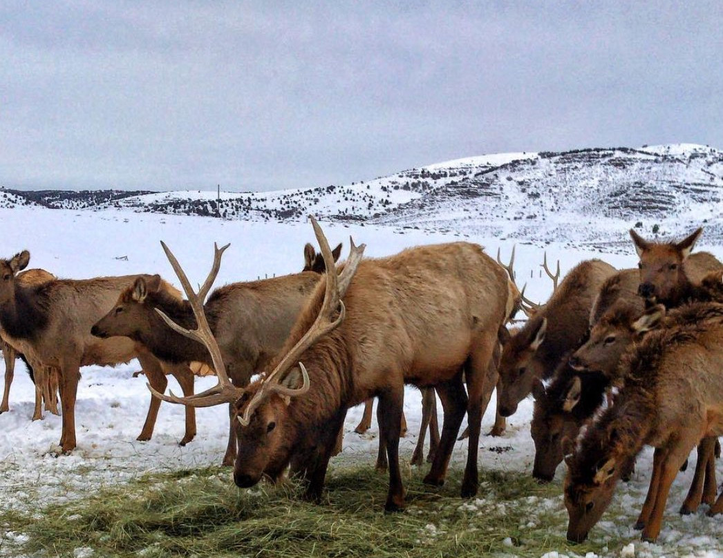 Hardware Ranch-洛根必去景点