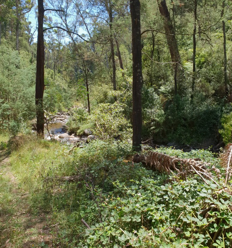 Tru-Blu Trails-Merrijig必去景点