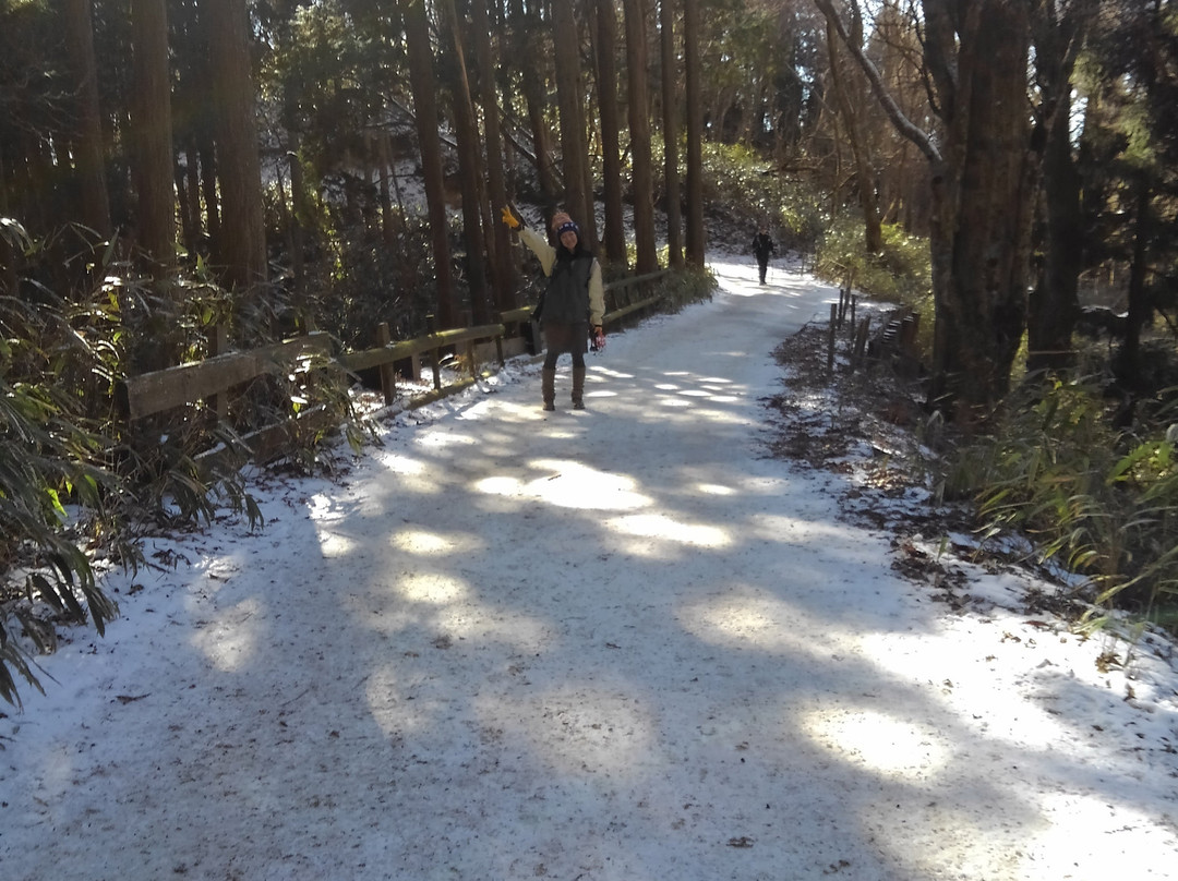 Mt. Kongo-千早赤阪村必去景点