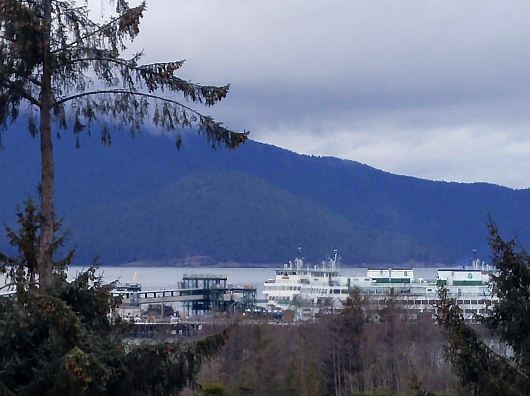 Anacortes Ship Harbor Inn主图