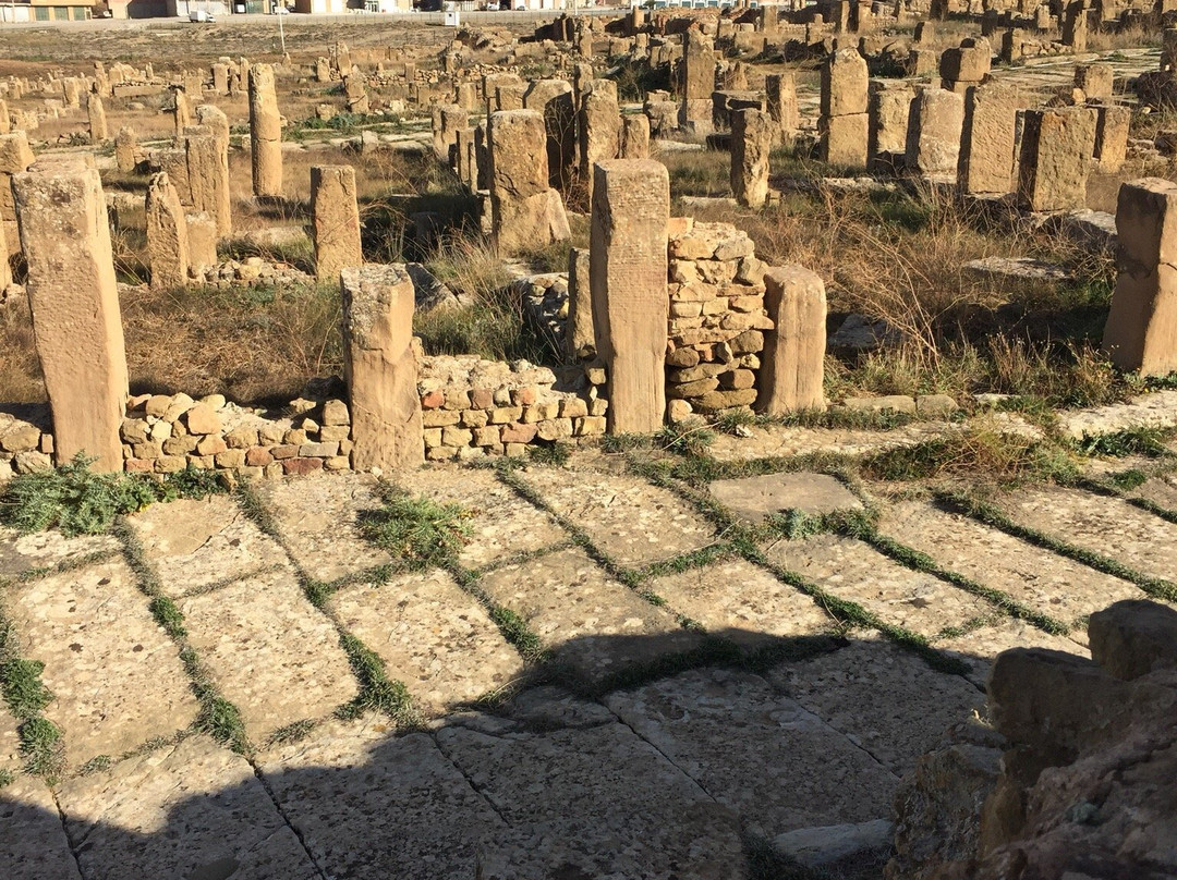 Roman Ruins Timgad景点图片