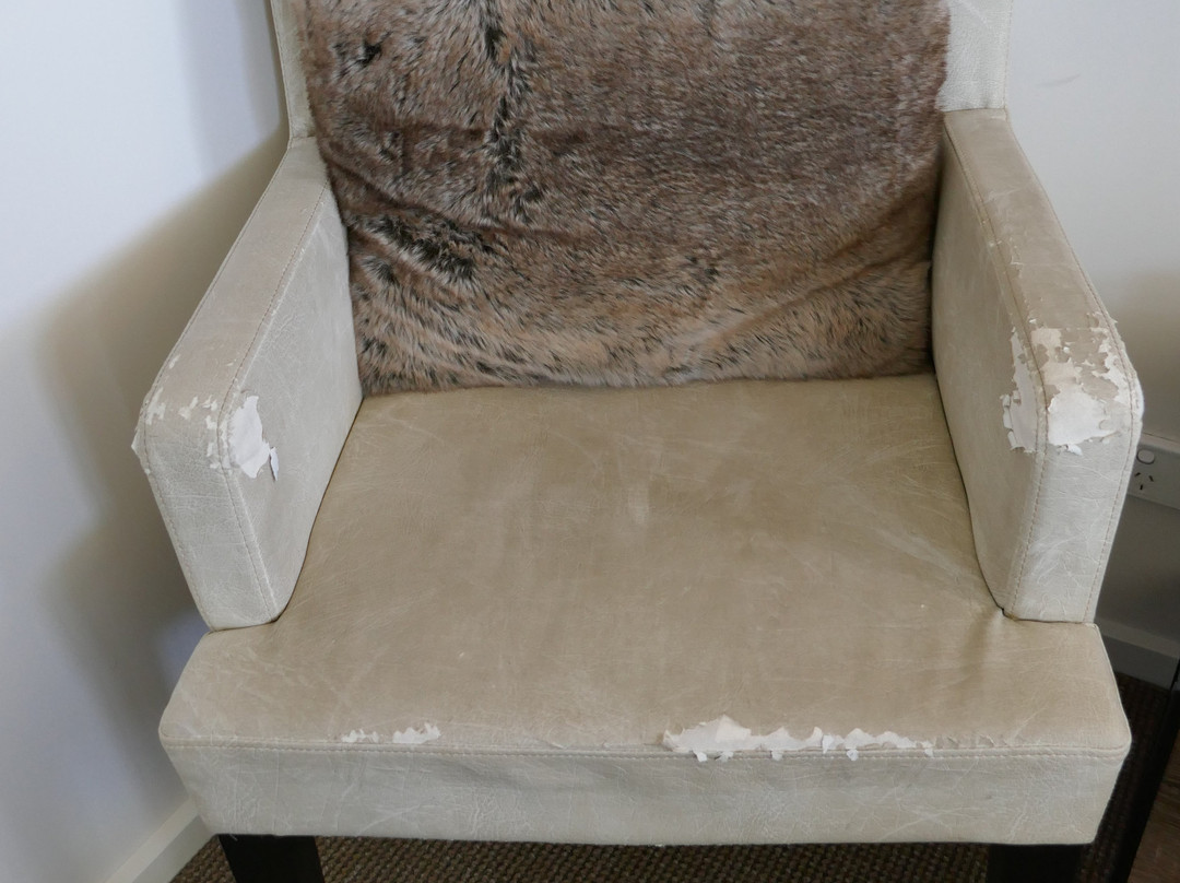 The Murray River Queen主图