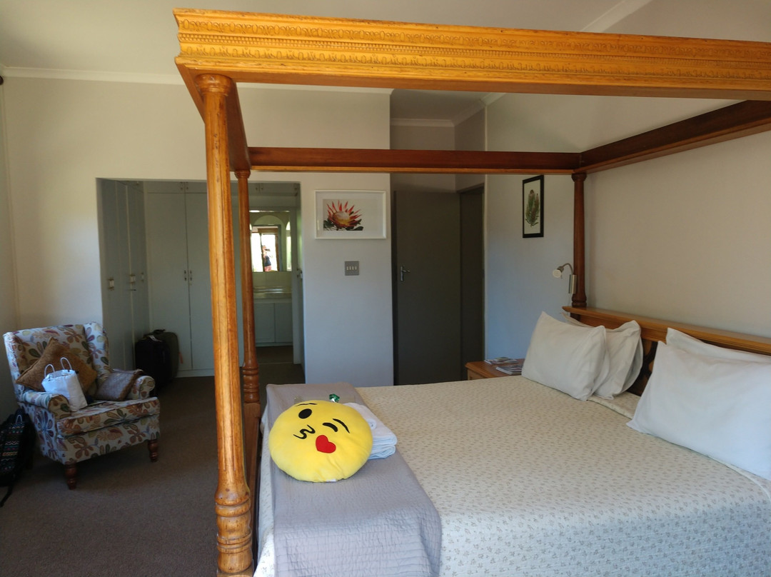 Te Amo Guesthouse主图