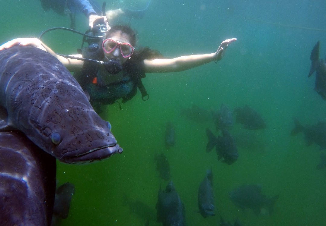 Eko Aventura Park-热河市必去景点
