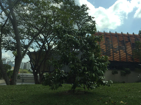 National University of Singapore-新加坡必去景点