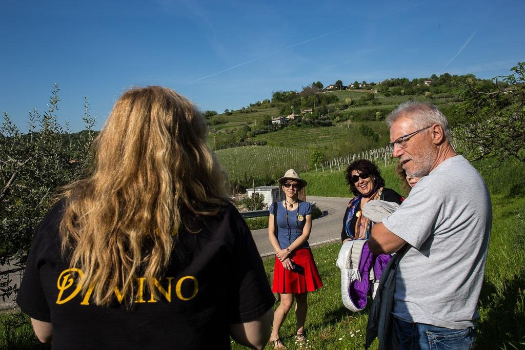 Vino e Sapori FVG-乌迪内必去景点