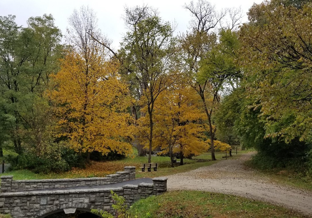 Side Cut Metropark景点图片