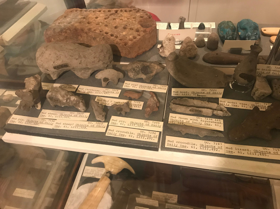 皮特里埃及文物博物馆景点图片