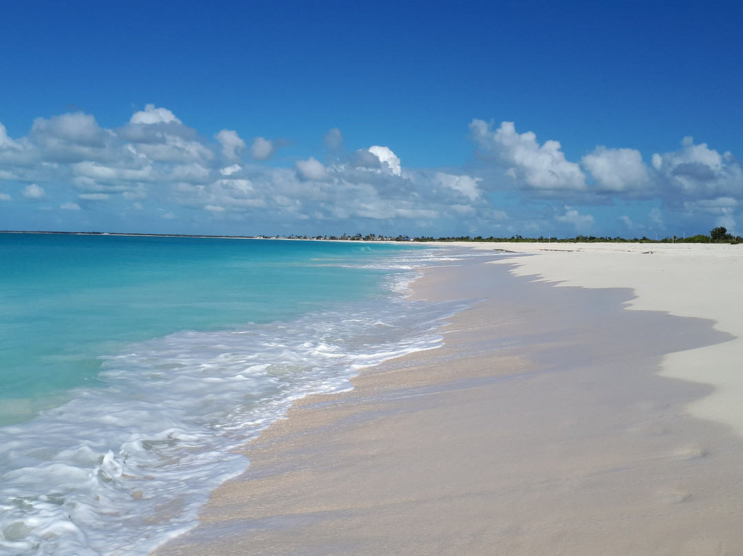 Princess Diana Beach-巴布达必去景点