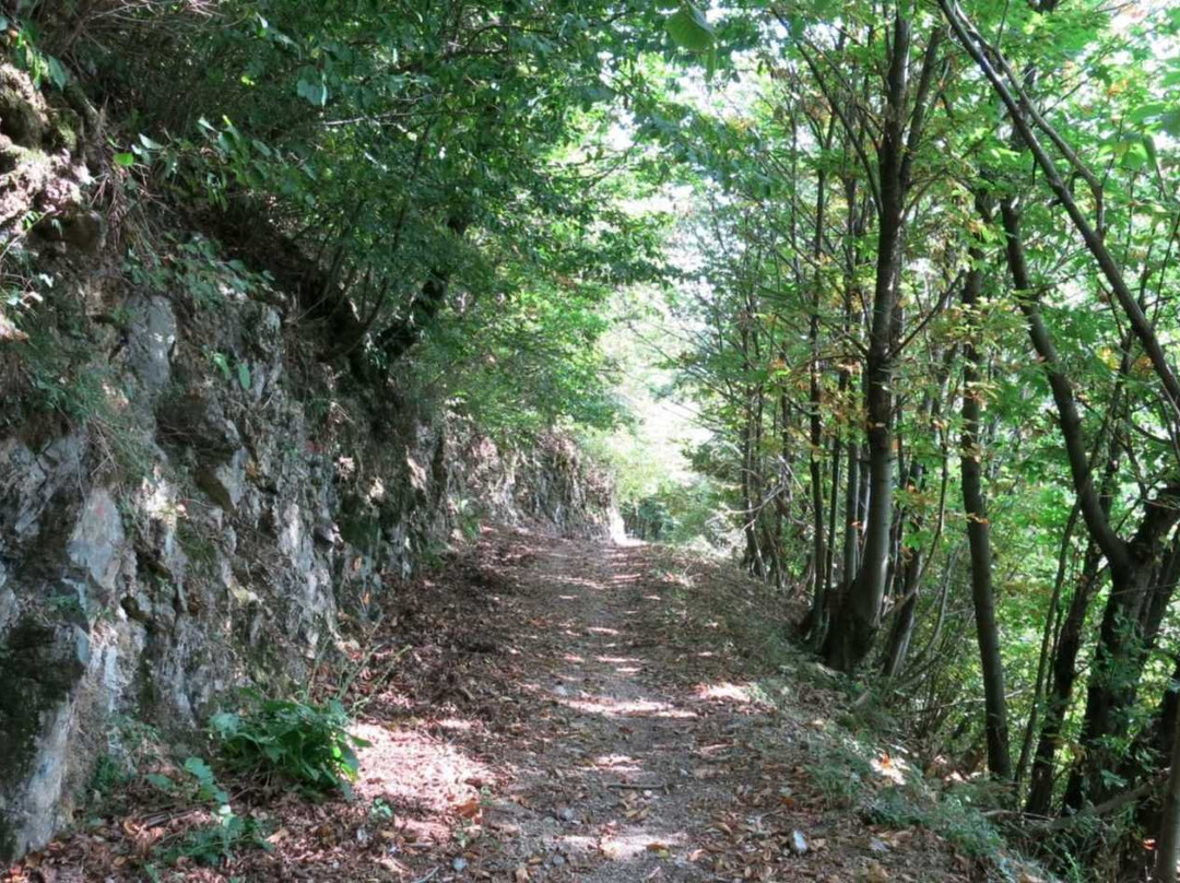 Laveno - Sasso del Ferro - Cittiglio-Laveno-Mombello必去景点