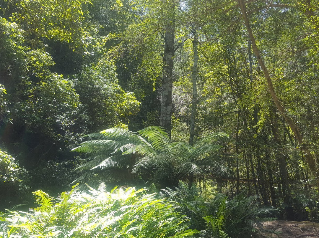 Snug Falls-Snug必去景点