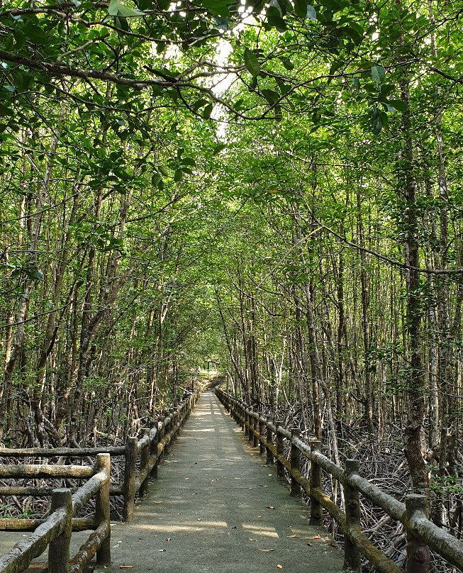 Ngao Mangrove Forest Research Centre景点图片