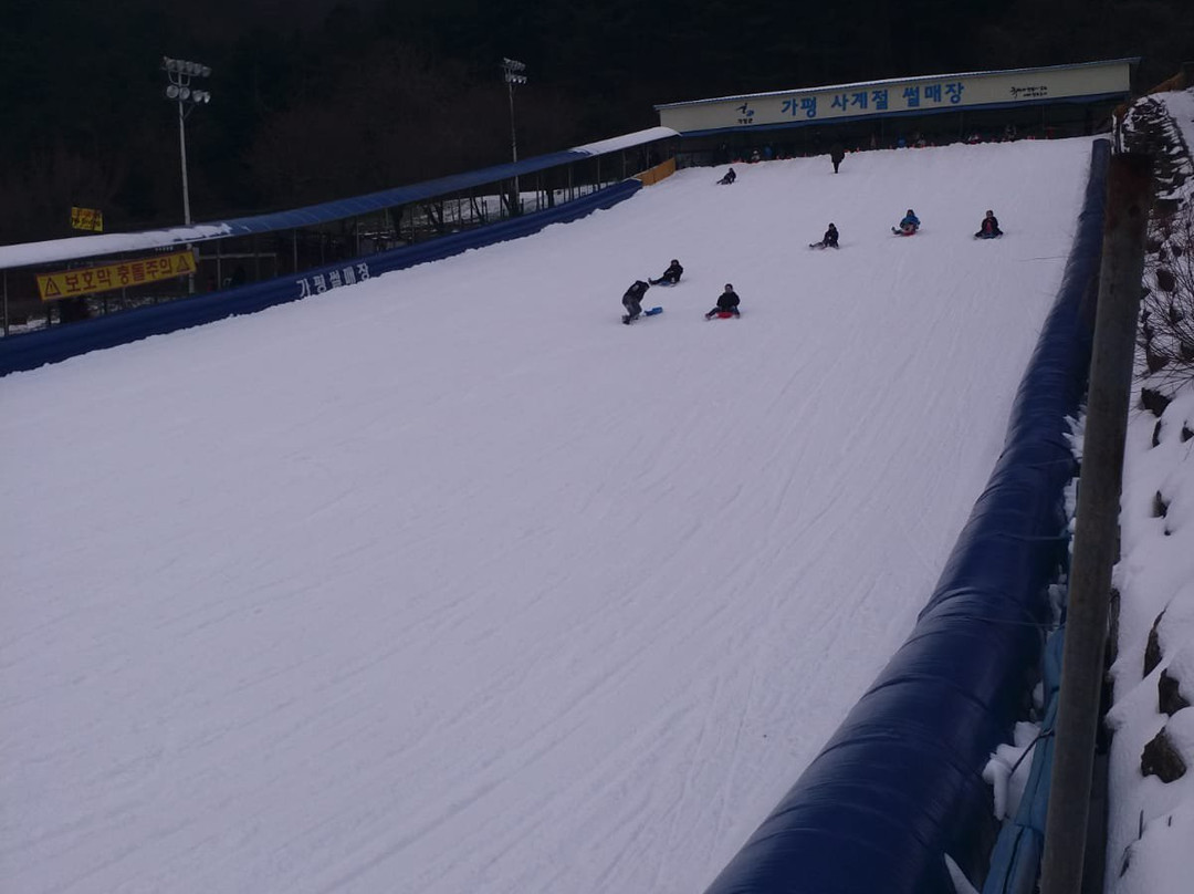 Gapyeong Sledding Hills景点图片