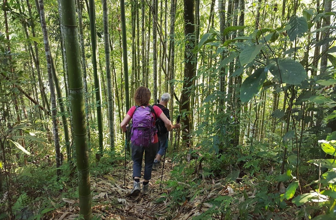 Bac Ha Tourist景点图片