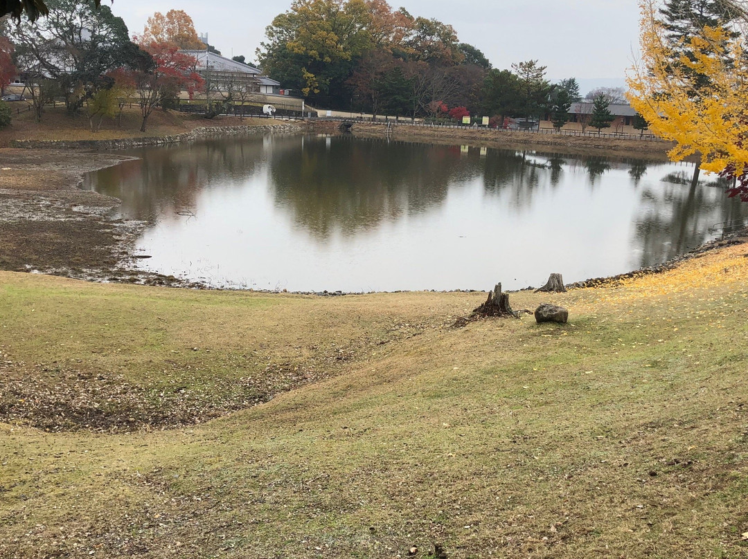 Daibutsu Pond景点图片