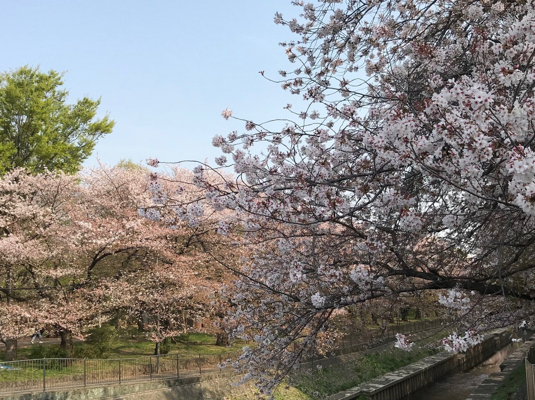 Wadabori Park-杉并区必去景点