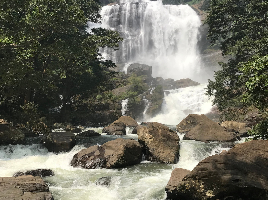 Sri Lanka Eco Trekking & Eco Tours-康提必去景点