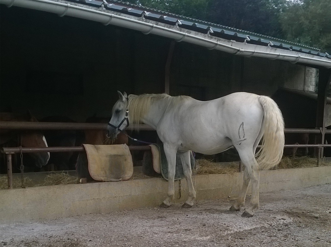 Ferme Equestre de la Croix Colas