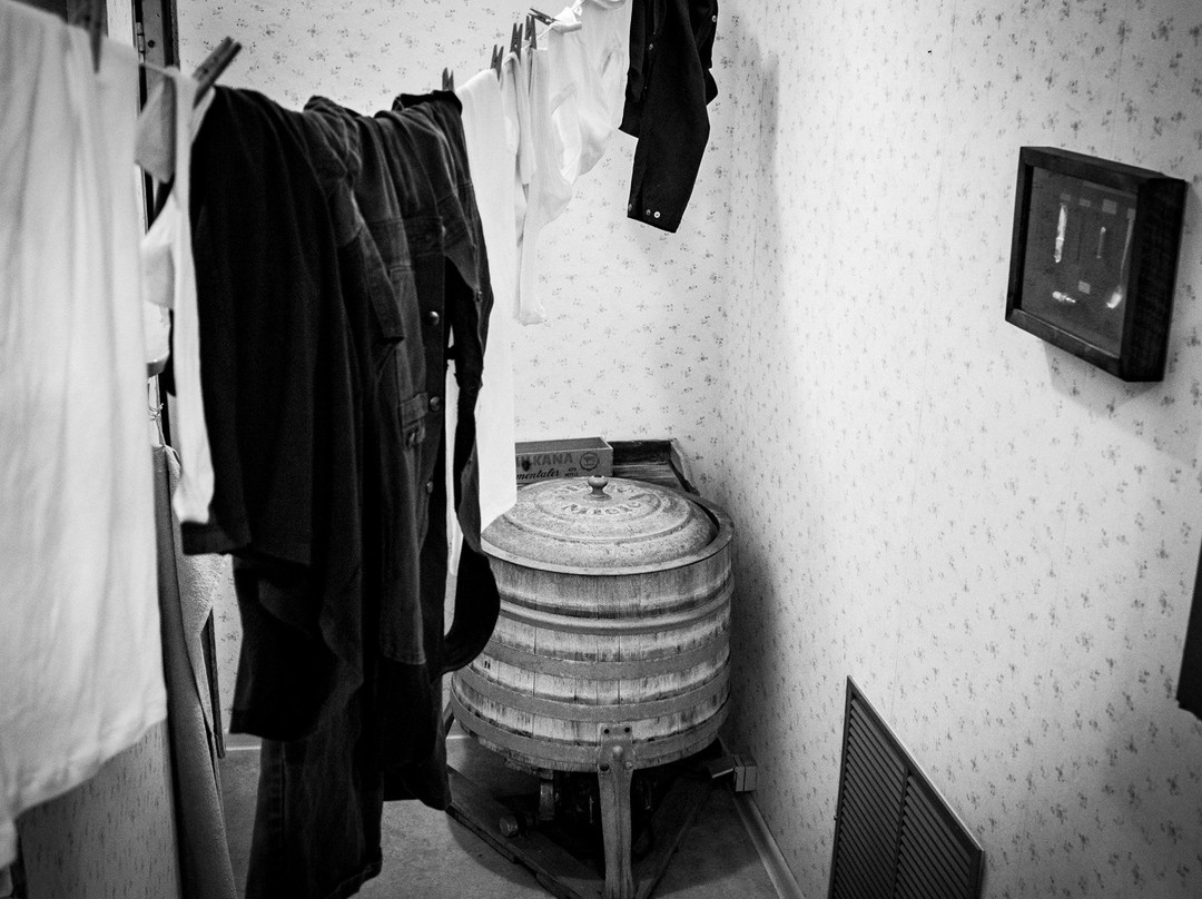 Room Fox景点图片