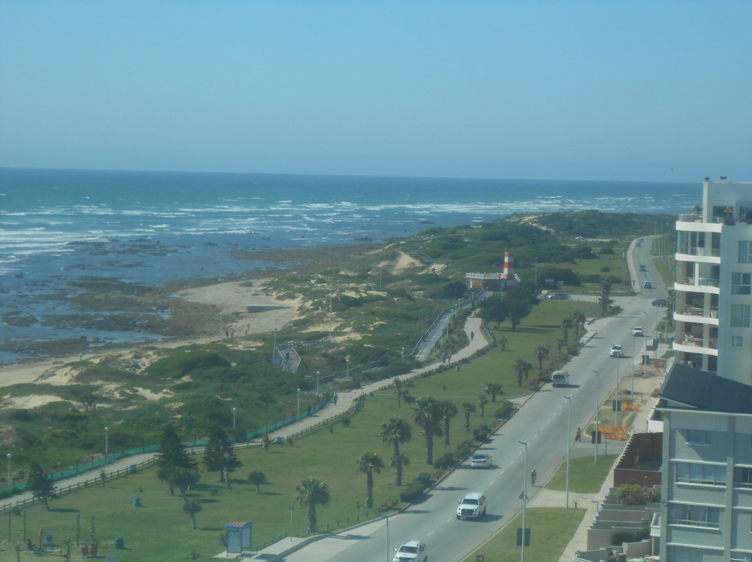 伊丽莎白港丽笙布鲁酒店主图