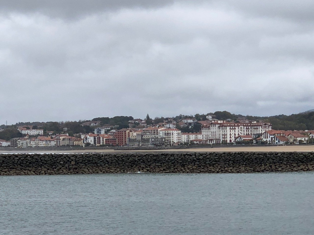 Port d'Hendaye景点图片