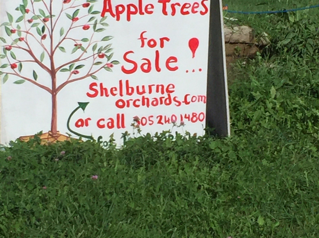 Shelburne Orchards-谢尔本必去景点