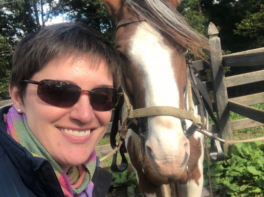 Magic Mountain Farm-温切斯特必去景点