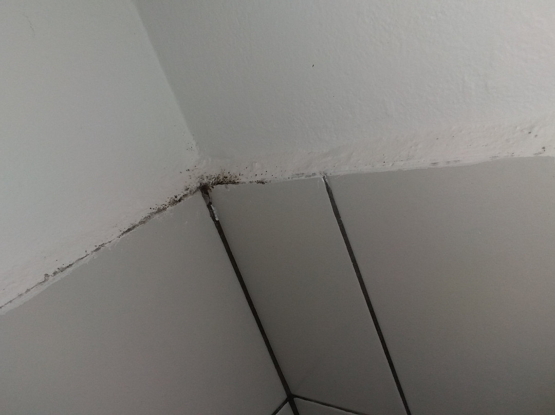 Hotel Farol do Lago - Represa de Avaré主图