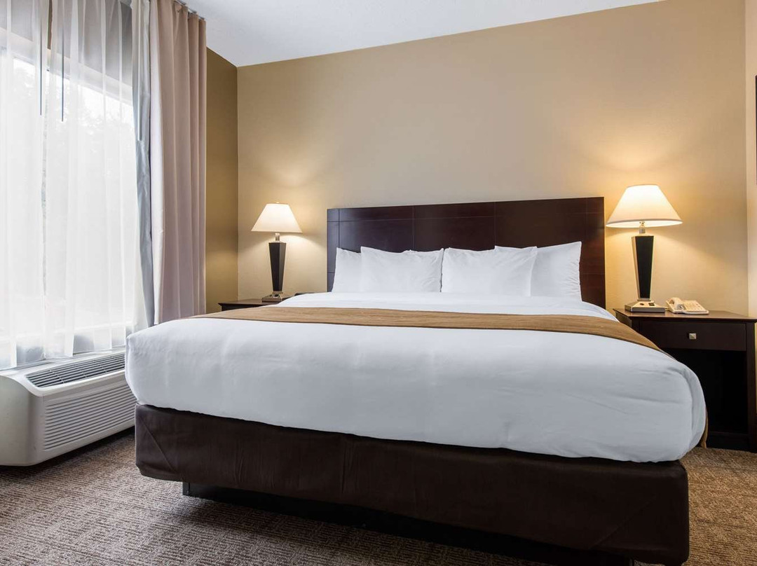 Comfort Suites主图