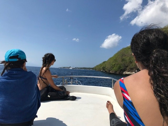 Two Fish Divers Sanur-沙努尔必去景点