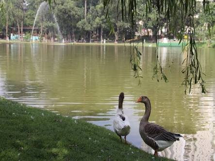 Parque Municipal Dom Jose-巴卢韦利必去景点