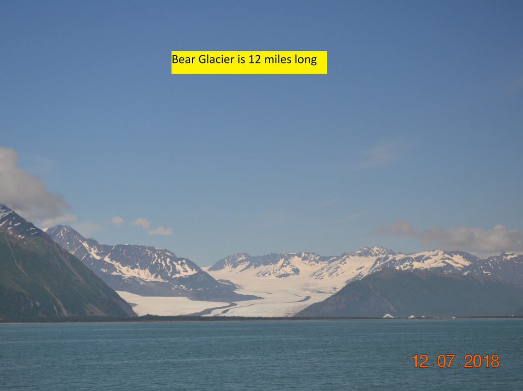Bear Glacier景点图片