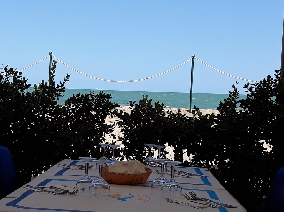 African Beach主图