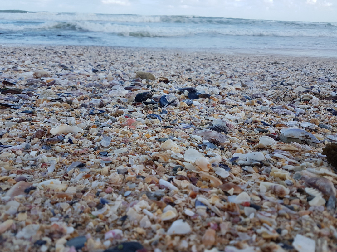 Seashells Holiday Apartments and Conference Centre主图